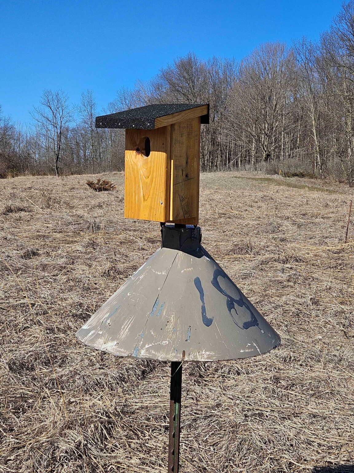 Friends of the Cedarburg Bog | Cedarburg Bog Nest Box Initiative ...