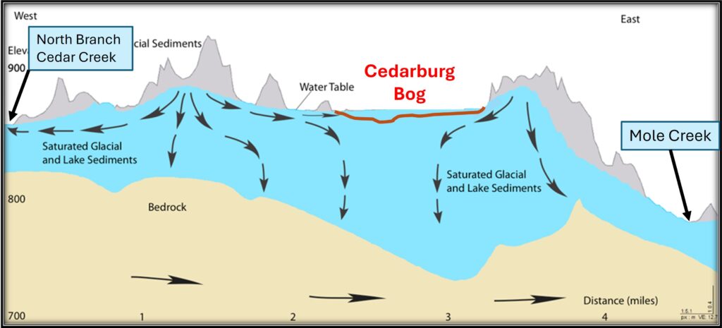 Cross section showing general directions of groundwater flows in the bedrock