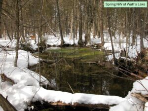 Spring NW of Watt's Lake